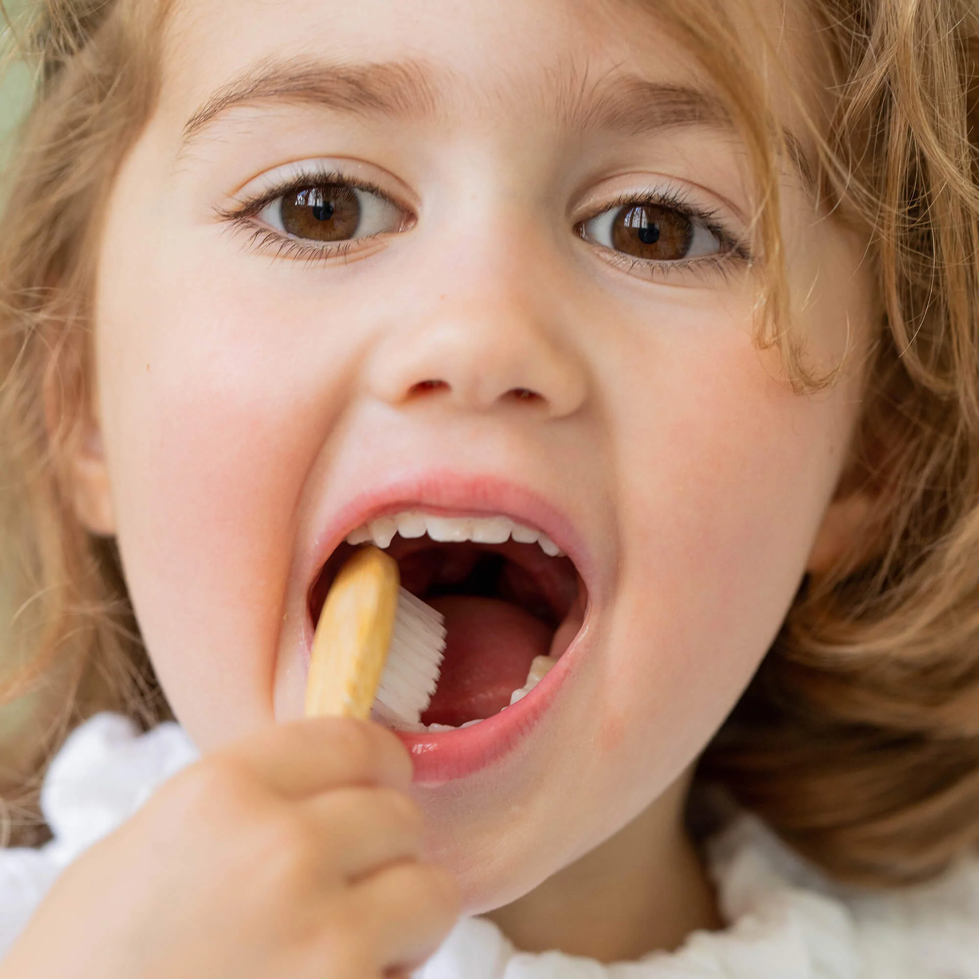 1er Dentifrice – Image 2