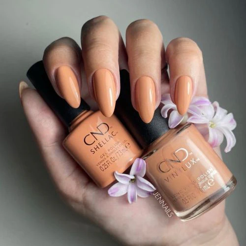 SHELLAC Vernis U.V Daydreaming