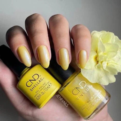 SHELLAC Vernis U.V Char truth